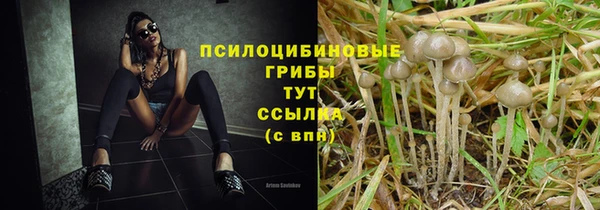 2c-b Переславль-Залесский