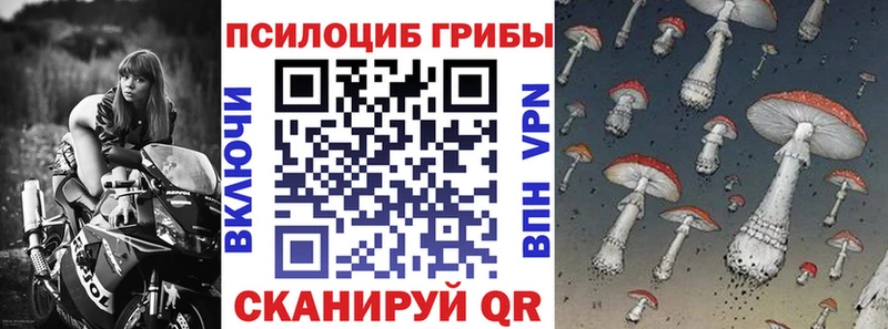 Псилоцибиновые грибы Cubensis  blacksprut зеркало  Советск 